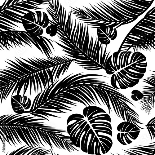 Seamless pattern with silhouettes of palm tree leaves in black on white background.Seamless Floral Background. Vector illustration