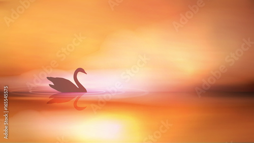 Swan Silhouette and Sunrise on Lake - Vector Illustration.