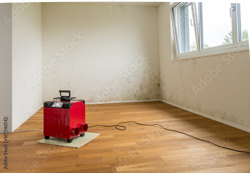 Fototapet mildew and mold on an apartment wall with a red dehumidifier in the foreground