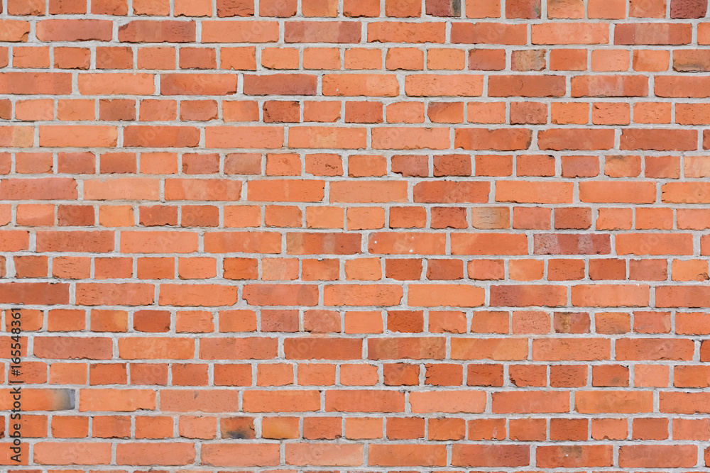 Fototapeta premium Ziegelwand
