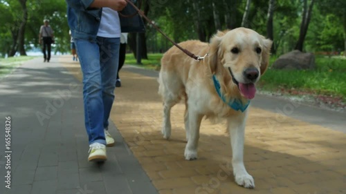 Little boy walking with his dog