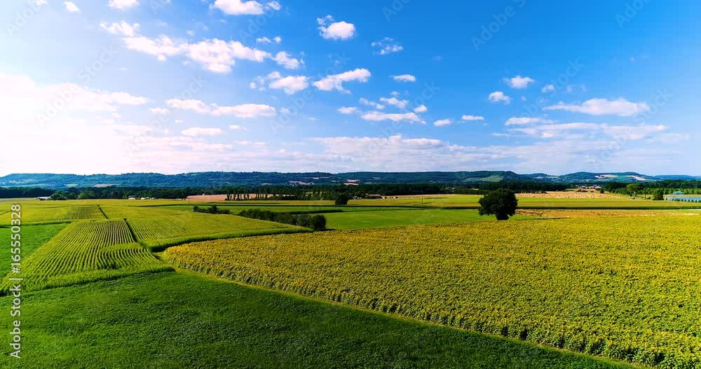champs en vu aérienne filmés au drone, france 