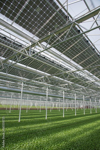 Wallpaper Mural Gewächshaus mit Photovoltaik Torontodigital.ca