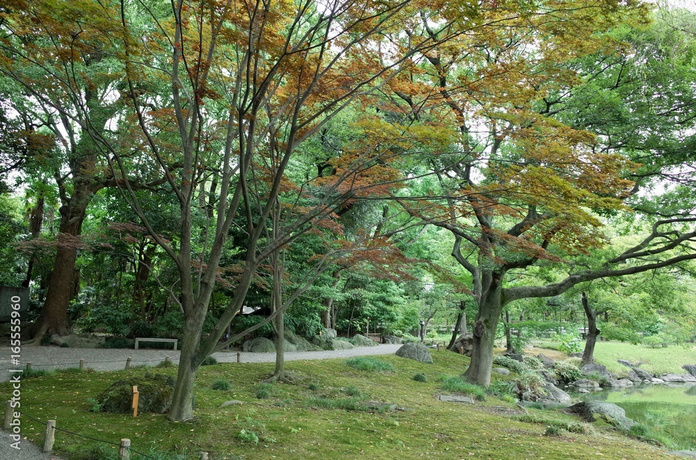 Naklejka premium 清澄庭園