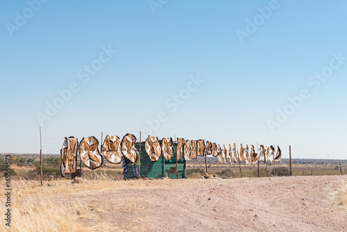 Carpets made from springbok hide for sale near Kalkrand photo