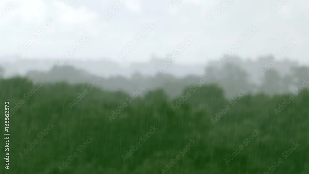 Aerial view on heavy rain above the green forest trees. Rainfall. Soft focus. Nature background. Aerial view on heavy rain above the green forest trees. Rainfall. Soft focus. Nature background.
