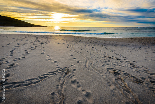 Footsteps tracks in sand on beach with sunrise or sunset.