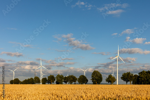 éoliennes, champs de blé photo