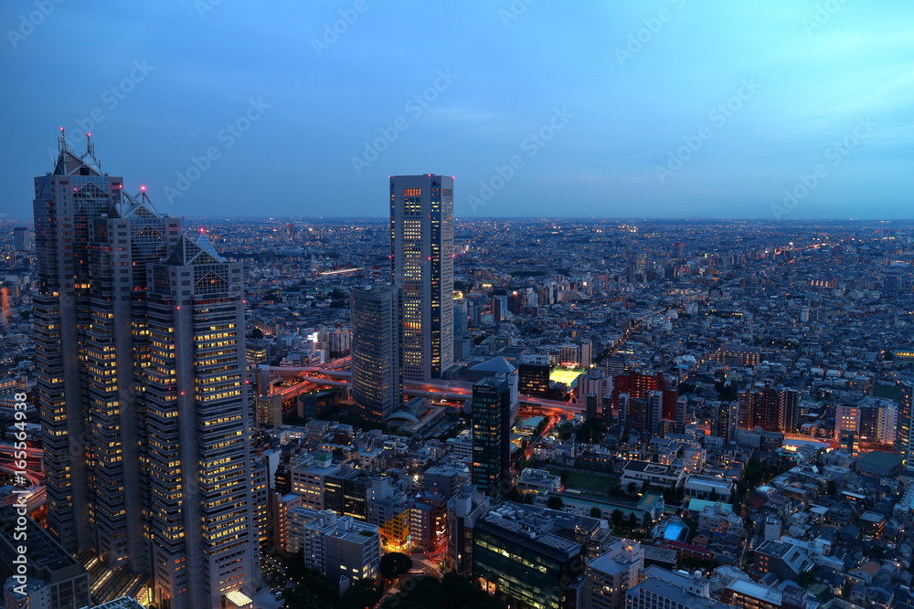 Fototapeta premium 東京の都市景観