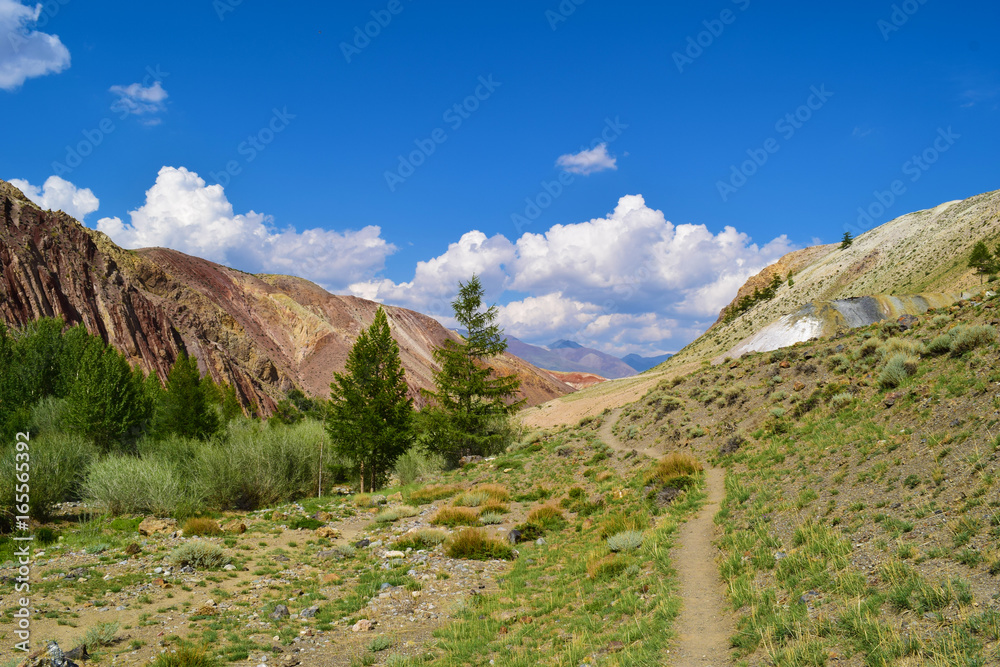 View of ravine and path in multicolor hills of Altai mountains. Altay Republic, Siberia, Russia.
