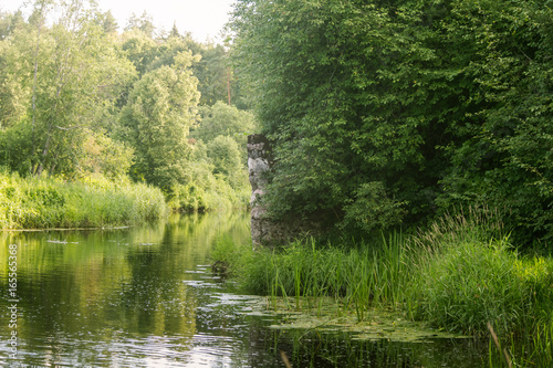 A beautiful, relaxing summer landscape of a riverside. Vibrant rural scenery.