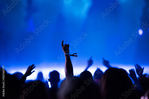 Rear view of crowd with arms outstretched at concert