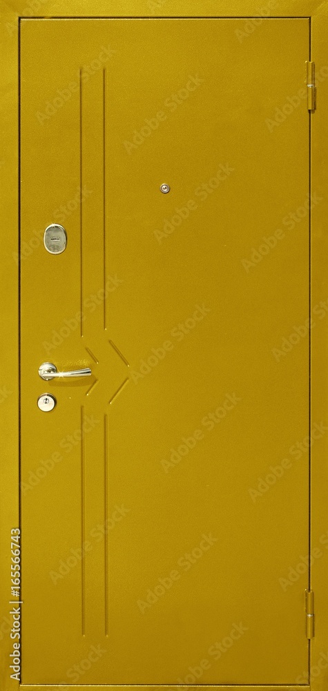 Fototapeta premium Entrance door (metal door)