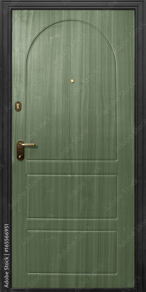 Entrance door (metal door) Entrance door (metal door)