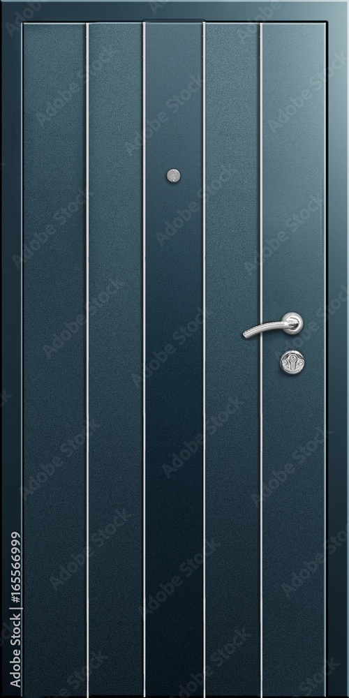 Fototapeta premium Entrance door (metal door)