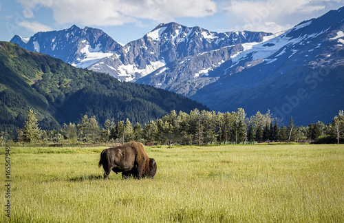 Alaska, the Last Frontier USA