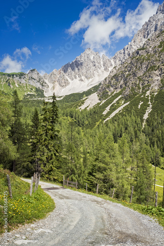 Idyllic path in austrian alps