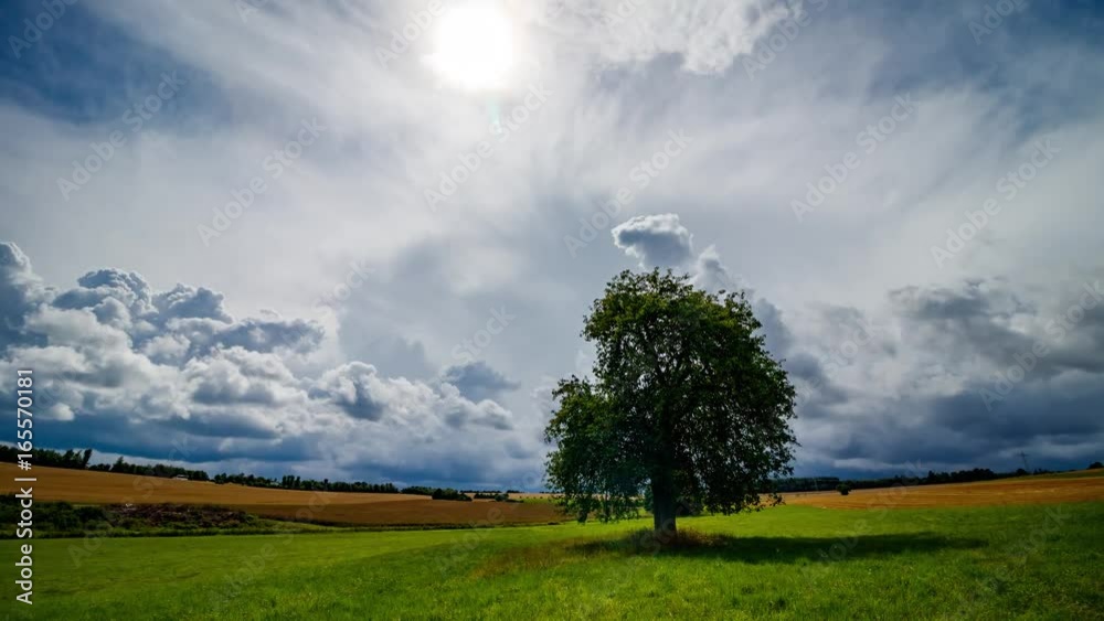 Beginning of a Storm Timelapse 4K