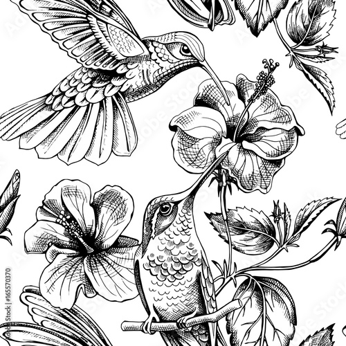 Seamless pattern with image of a Hummingbirds with a Hibiscus flowers. Vector illustration.
