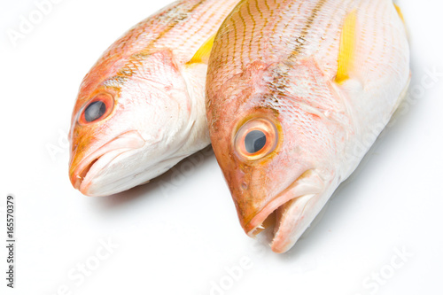 delicious portion of fresh fish isolated photo