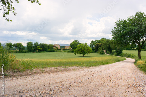 Typical tuscan green landscape
