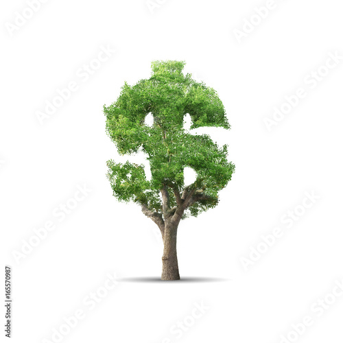 Obraz na płótnie tree