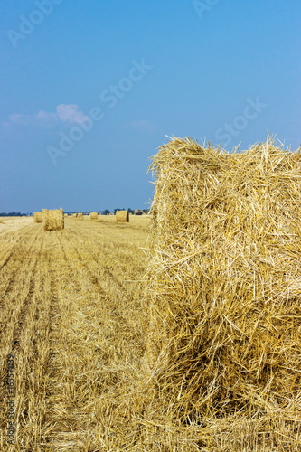 Rural landscapes of Tuscany, Italy, Europe, Rolls of haystacks on the field. Summer farm scenery with haystack on the background of beautiful sunset, Agriculture Concept, Harvest concept photo