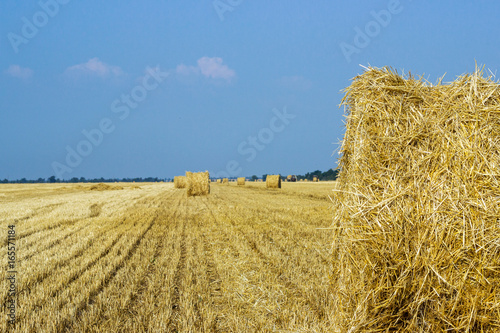 Rural landscapes of Tuscany, Italy, Europe, Rolls of haystacks on the field. Summer farm scenery with haystack on the background of beautiful sunset, Agriculture Concept, Harvest concept photo