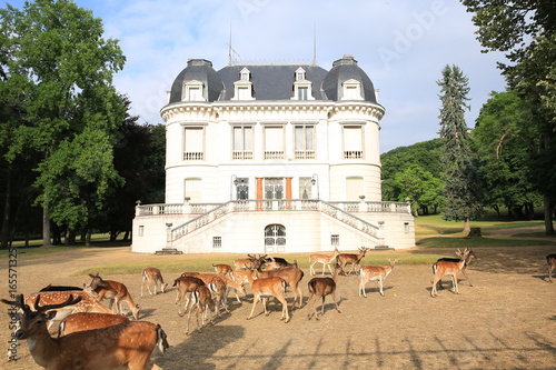 Historic Manor House in Prémery, Burgundy, France