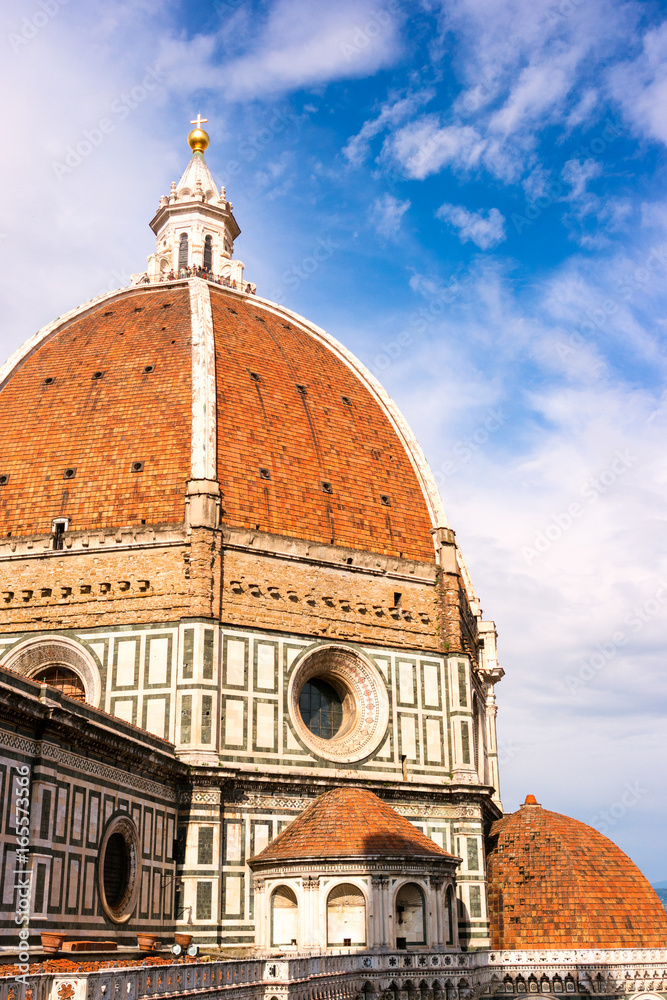 Aerial view of town Florence