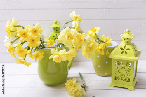 Fototapeta Naklejka Na Ścianę i Meble -  Yellow spring daffodils or narcissus flowers  and decorative green lanterns