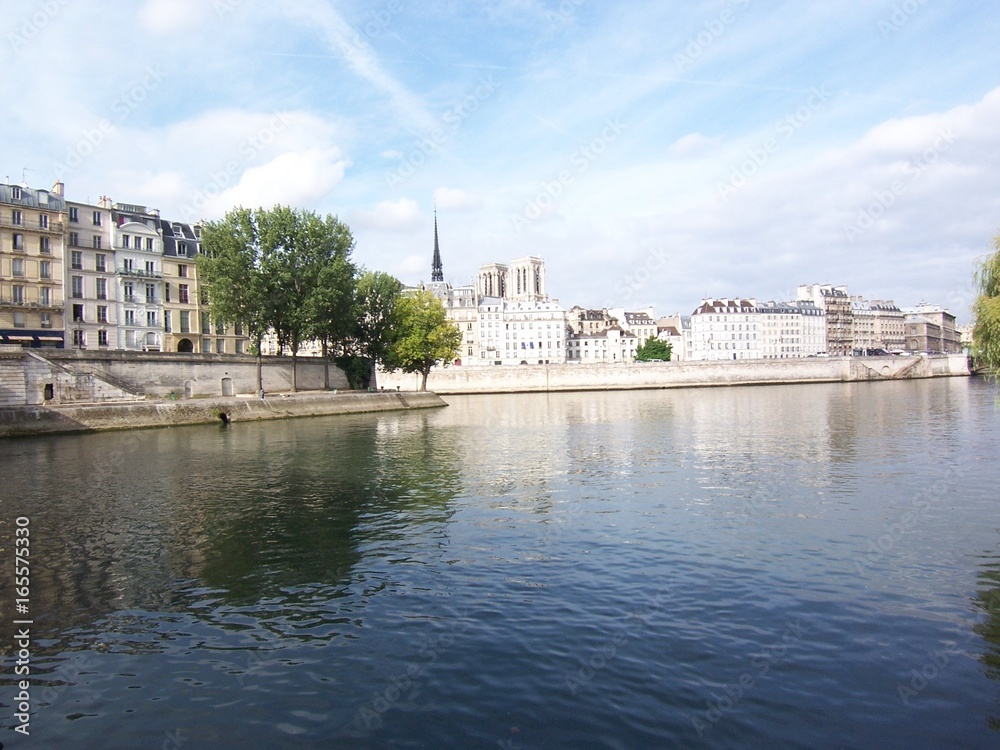 Obraz premium Vus sur la seine