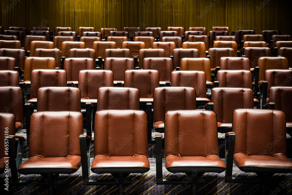The theater chairs in concert hall. The theater chairs in concert hall.