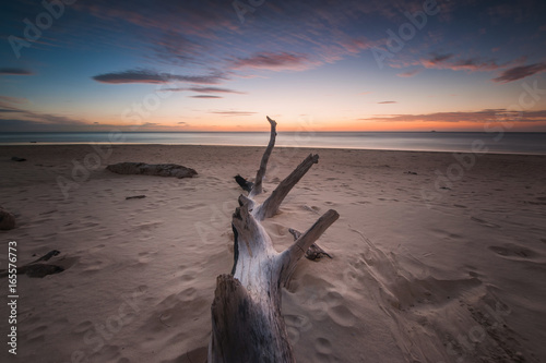 Beautiful sunset with trunk on the beach. © udoikel09