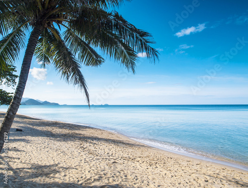 A tropical beach with palm tree on Ko Kut island, east Thailand