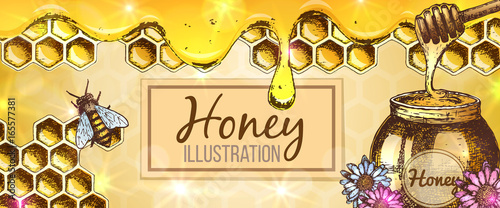 Colorful sketch illustration, honey horizontal banner, organic nature product. Vector