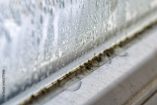 Mold and dirt on window photo