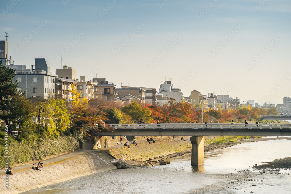 Kyoto in autumn. In evening when the sun goes down making the kamo river turn gold. People are doing their activities and enjoying the calm evening. 