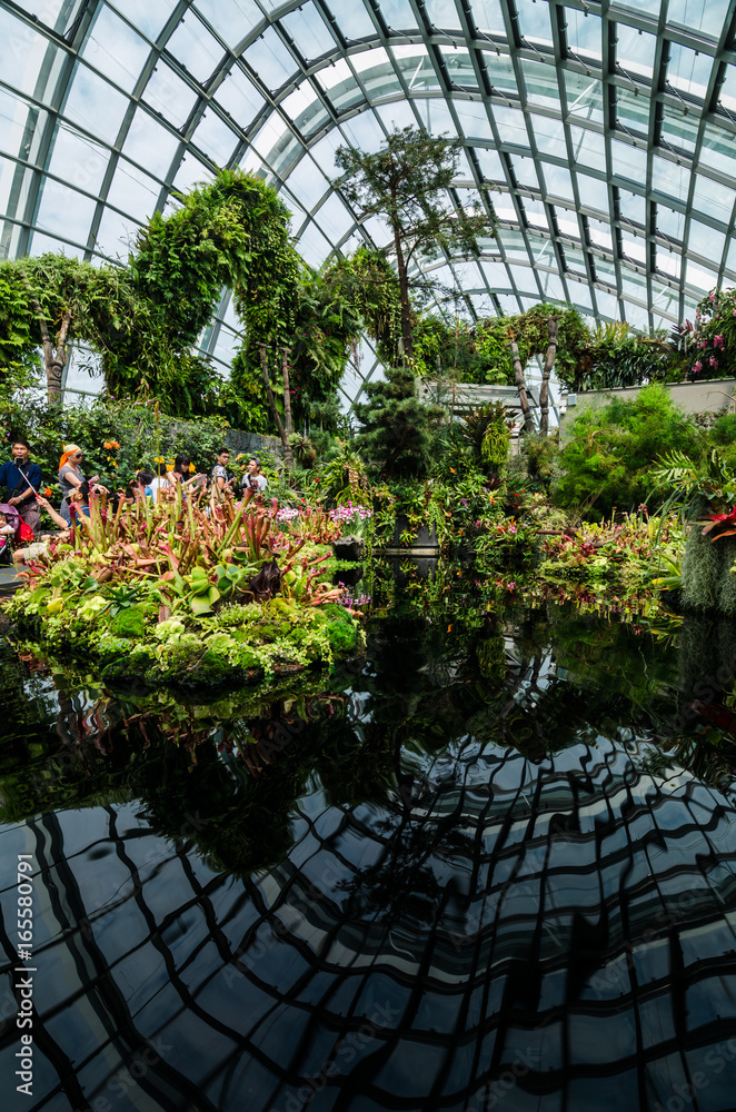 Singapore – 25 March 2016: Small pond with plants and reflection in Cloud Forest Dome at Garden by the bay. A man made nature park spanning 101 hectares of reclaimed land in central Singapore.