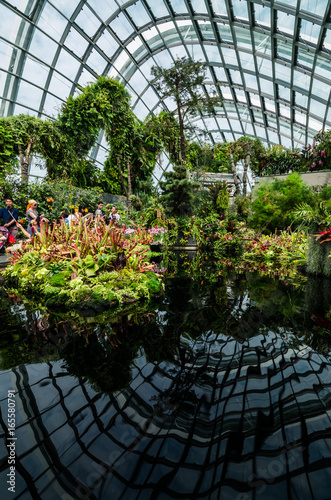 Singapore – 25 March 2016: Small pond with plants and reflection in Cloud Forest Dome at Garden by the bay. A man made nature park spanning 101 hectares of reclaimed land in central Singapore. photo