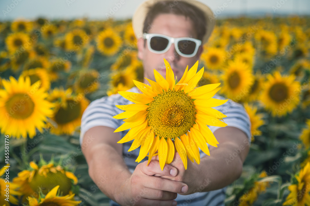 Man holding sunflower Man holding sunflower