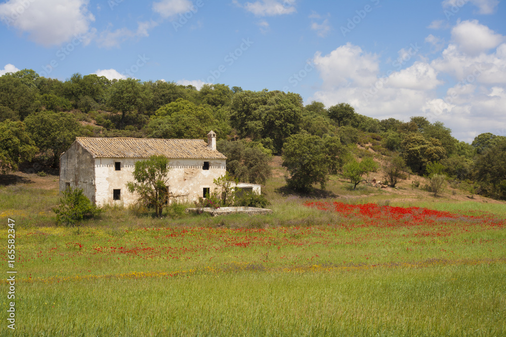 Derelict house ,Andalucia Spain