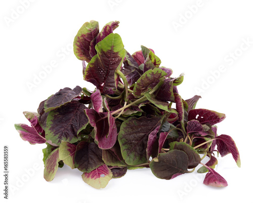 red spinach isolated on white background photo