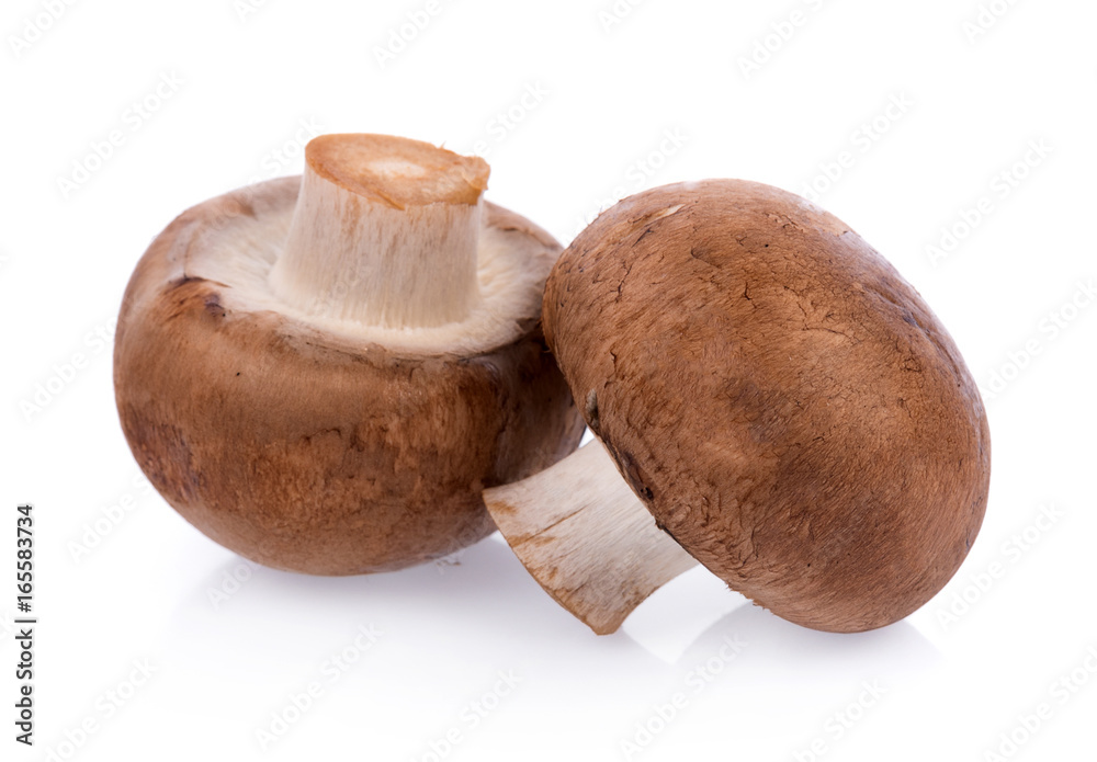 Mushroom champignon isolated on white background Mushroom champignon isolated on white background