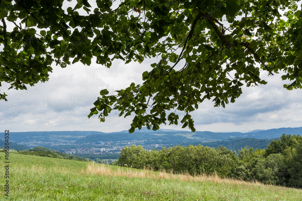 Aussicht auf die Natur vom Baum Aussicht auf die Natur vom Baum