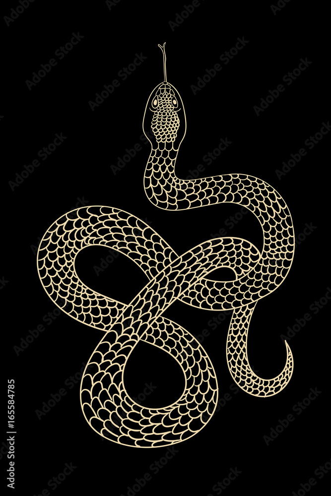 Obraz premium Vintage line snake. Vector illustration.