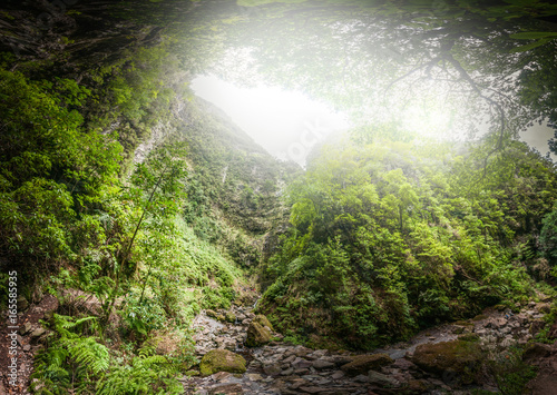 Caldera verde place inside jungle in Madeira, Portugal