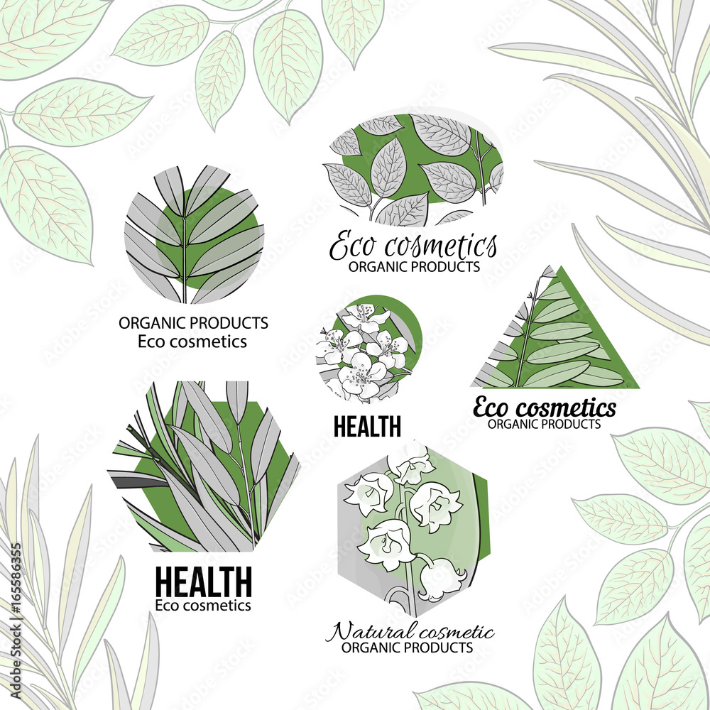 Obraz Natural, eco cosmetics logo set with hand drawn, sketch style leaves and flowers, vector illustration on white background. Round, hexagon and triangular logos with hand drawn leaves and flowers