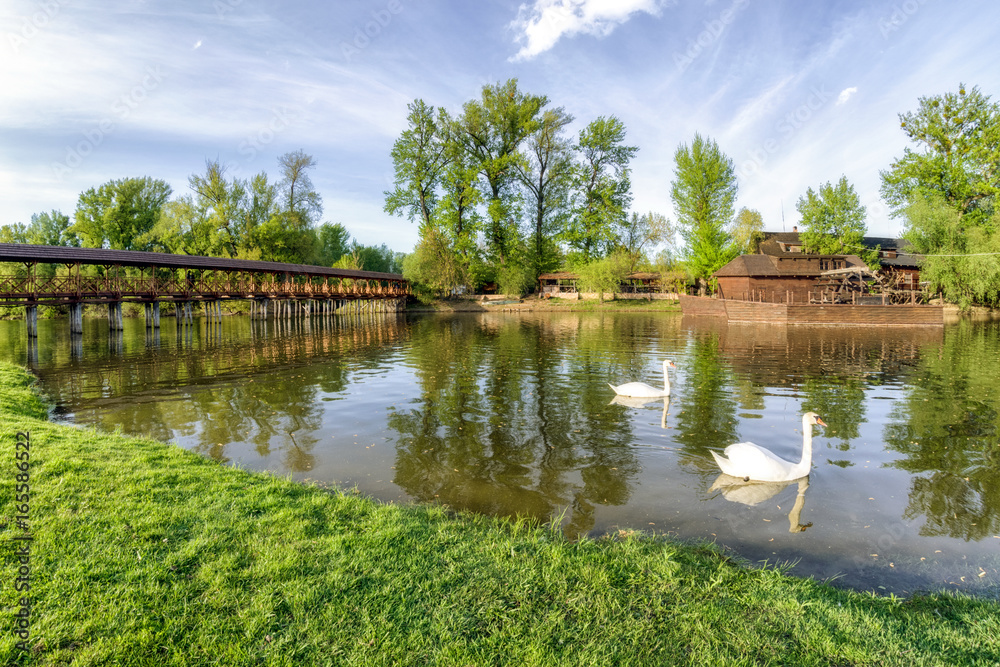 Naklejka premium Two swans on river Danube and watermill and bridge in Kolarovo, Slovakia