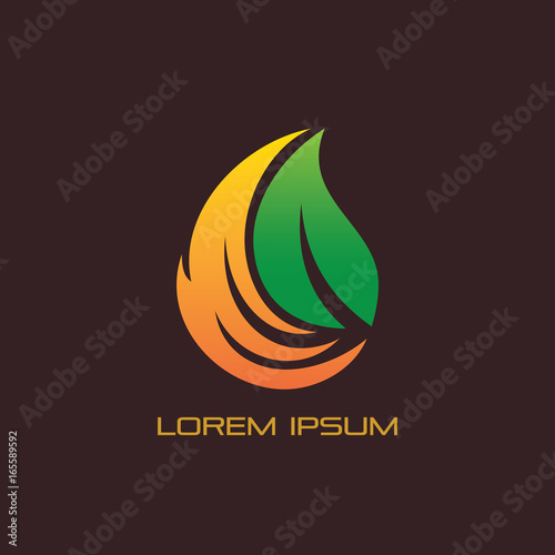 Abstract leaf waterdrop style logo vector image